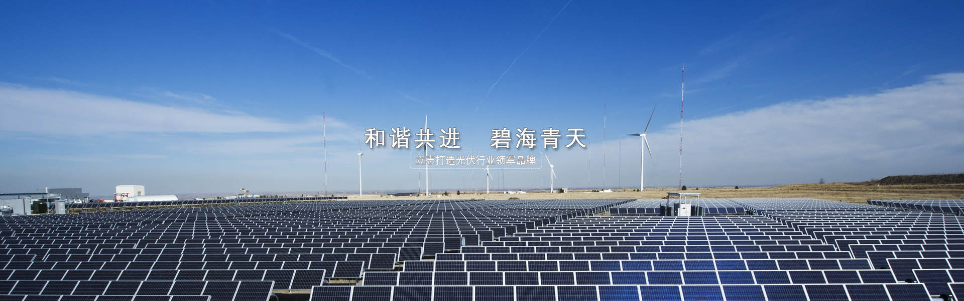 諸城市德龍環保科技有限公司